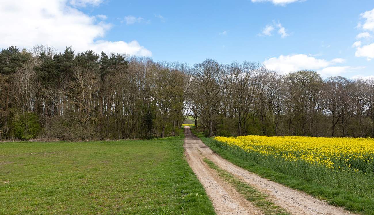 Your one-of-a-kind retreat awaits... 