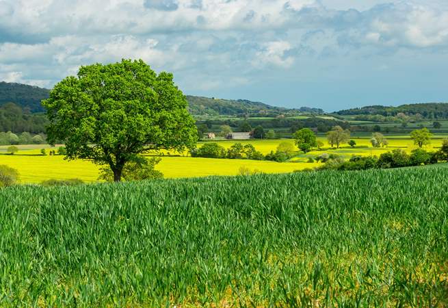 Thirsk is just over half an hour away. There's plenty to see and do in the area and the countryside is simply stunning. 