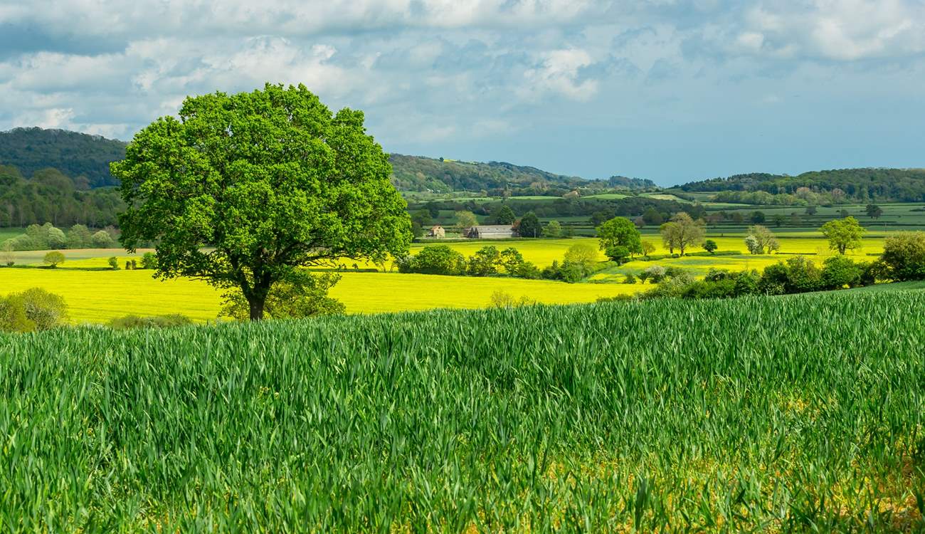 Thirsk is just over half an hour away. There's plenty to see and do in the area and the countryside is simply stunning. 