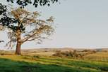 Be sure to pack your walking boots and get ready for adventure-filled days in the Yorkshire Dales.  