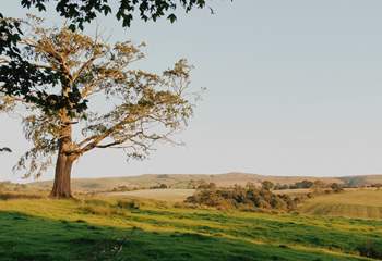 Be sure to pack your walking boots and get ready for adventure-filled days in the Yorkshire Dales.  
