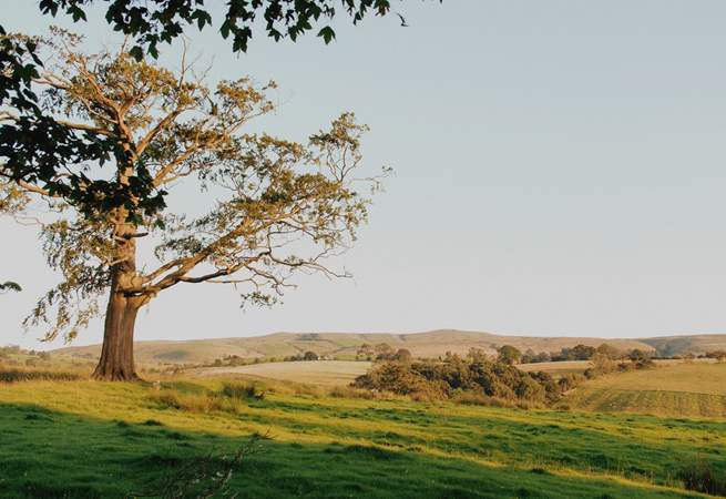 Be sure to pack your walking boots and get ready for adventure-filled days in the Yorkshire Dales.  