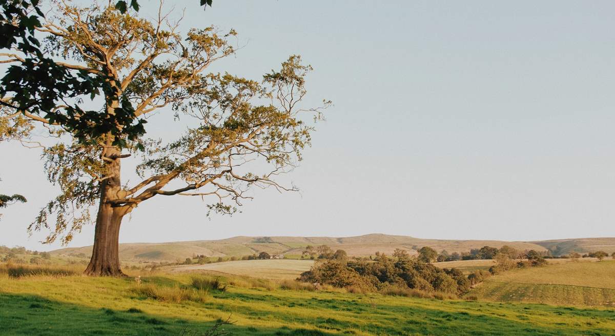 Be sure to pack your walking boots and get ready for adventure-filled days in the Yorkshire Dales.  