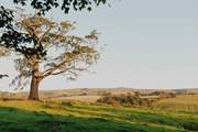 Be sure to pack your walking boots and get ready for adventure-filled days in the Yorkshire Dales.
