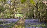 Follow the bluebell-lined path to find your hidden haven.  - Thumbnail Image