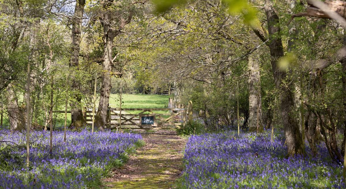 Follow the bluebell-lined path to find your hidden haven. 