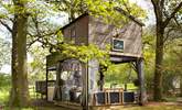 Directly under the treehouse, you will find your quirky living space. If the weather isn't so kind pull across the transparent canopy to keep cosy.  - Thumbnail Image