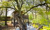 Nestled amongst the treetops, welcome to Little Oak Treehouse. - Thumbnail Image