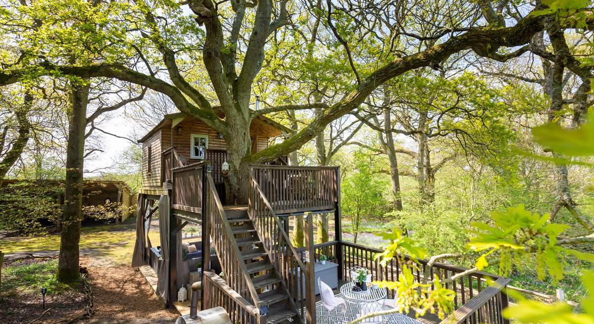 Nestled amongst the treetops, welcome to Little Oak Treehouse.