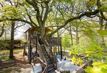 Nestled amongst the treetops, welcome to Little Oak Treehouse.