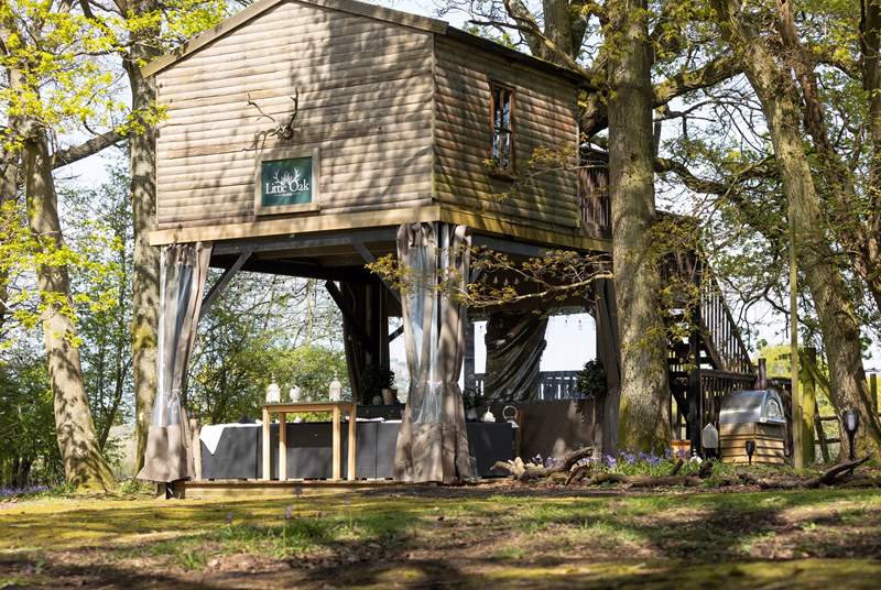 Just the most magical treehouse to retreat to. 