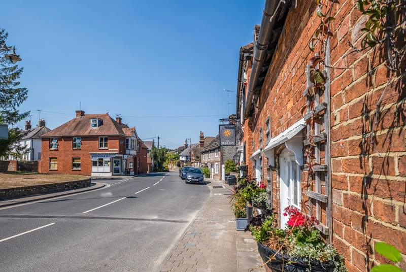 Steyning is only a short drive away and is a picturesque market town. 
