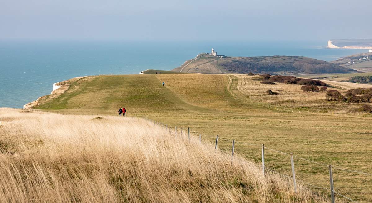 You'll find the South Downs National Park just under half an hour away, perfect for walking the dog! 