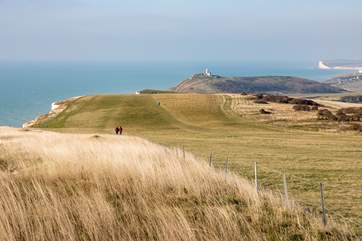 You'll find the South Downs National Park just a stone's throw away.
