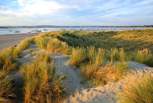 And a little further afield you'll find West Wittering Beach, which is perfect during every season! 