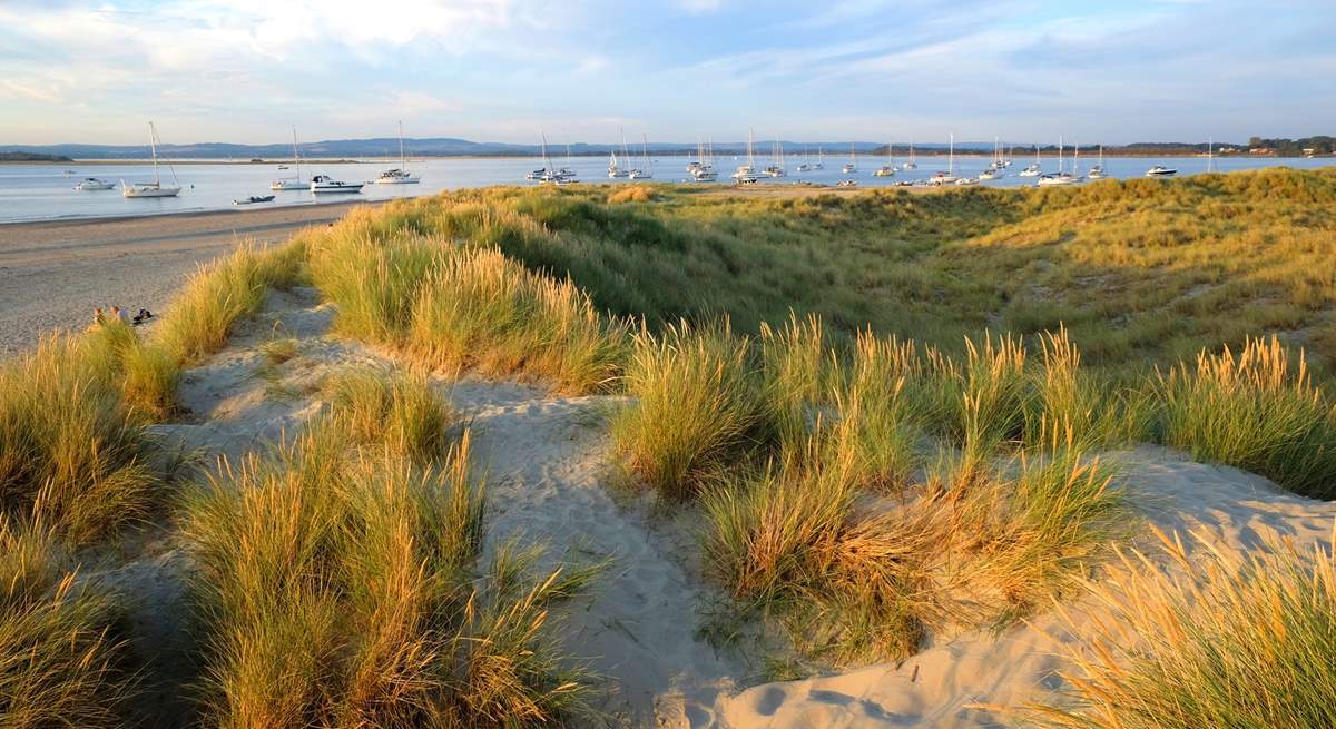 And a little further afield you'll find West Wittering Beach, which is perfect during every season! 