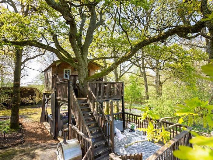 Little Oak Treehouse, Sleeps 2 in Pulborough