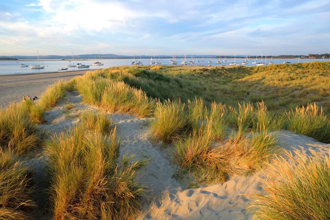 In under an hour, you will find West Wittering Beach, which makes for the perfect day out!