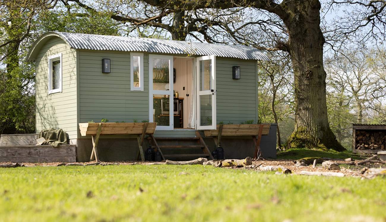 Delve into a good book in the dappled shade beneath the tree.