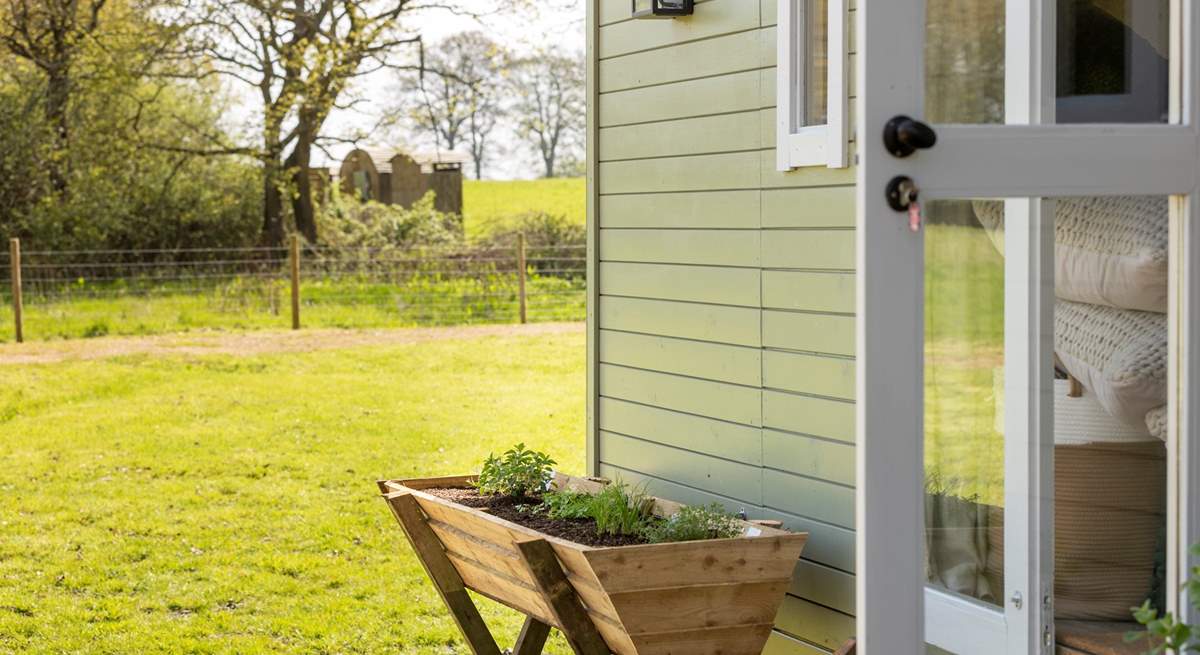 Your beloved pooch will love roaming the gorgeous garden.