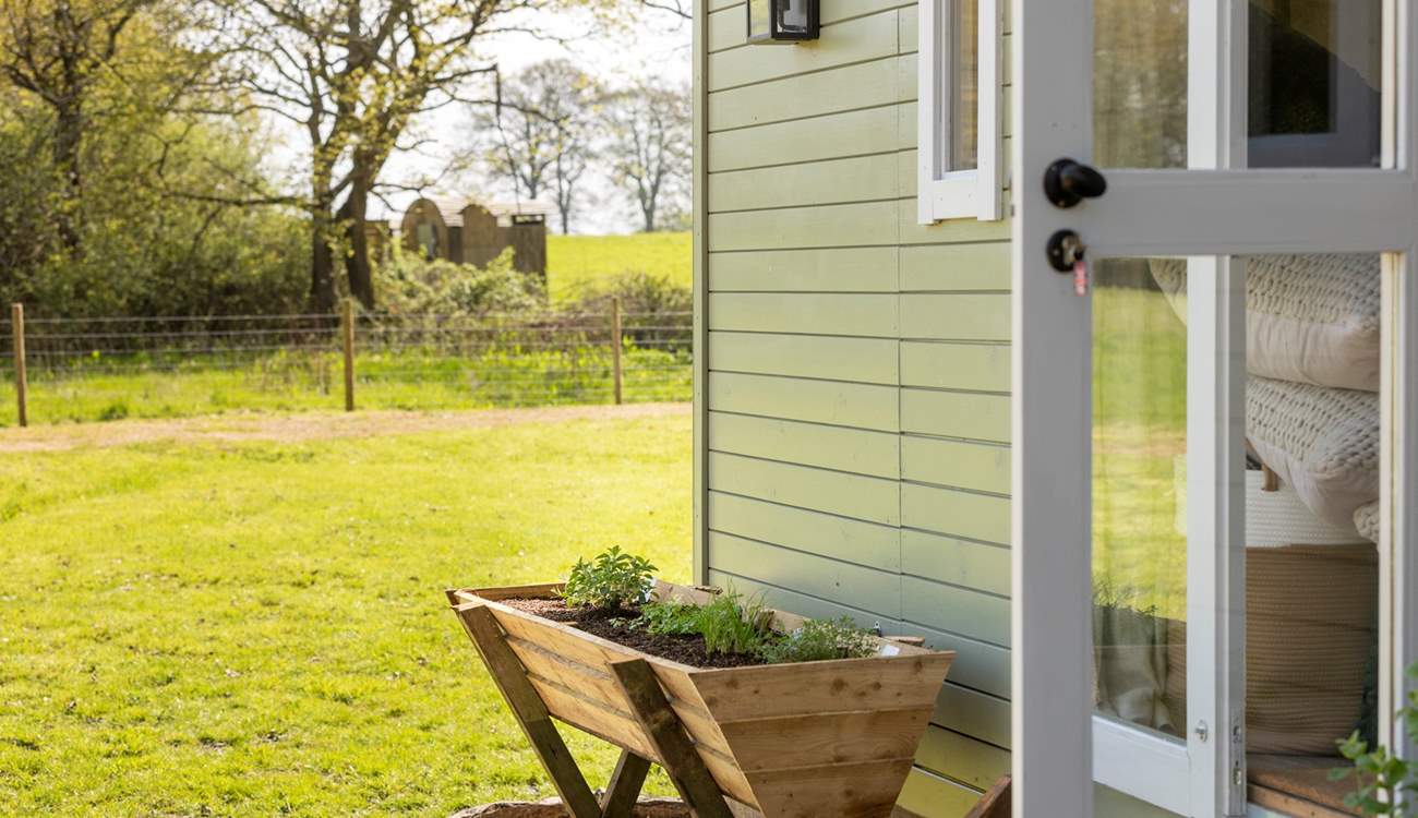 Your beloved pooch will love roaming the gorgeous garden.