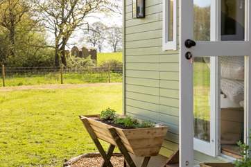 Your beloved pooch will love roaming the gorgeous garden.
