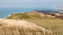 The South Downs National Park is under 30 minutes away and is the perfect spot for a dog walk! 