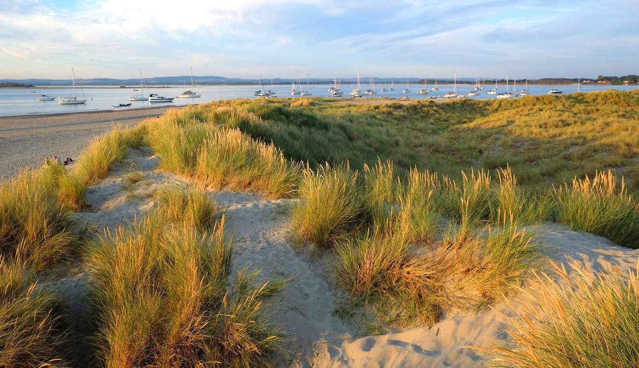 West Wittering Beach is under an hour away and makes for the perfect day out in any season! 