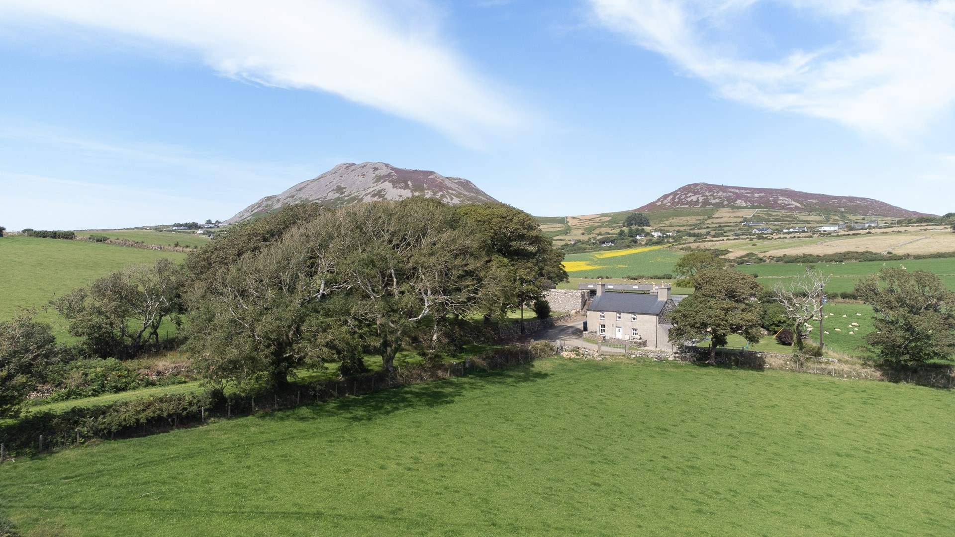 Pet friendly best sale cottages llyn peninsula