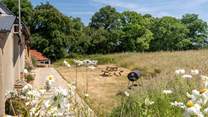Wonderful seating area nestled amongst the wildlife and wildflowers.