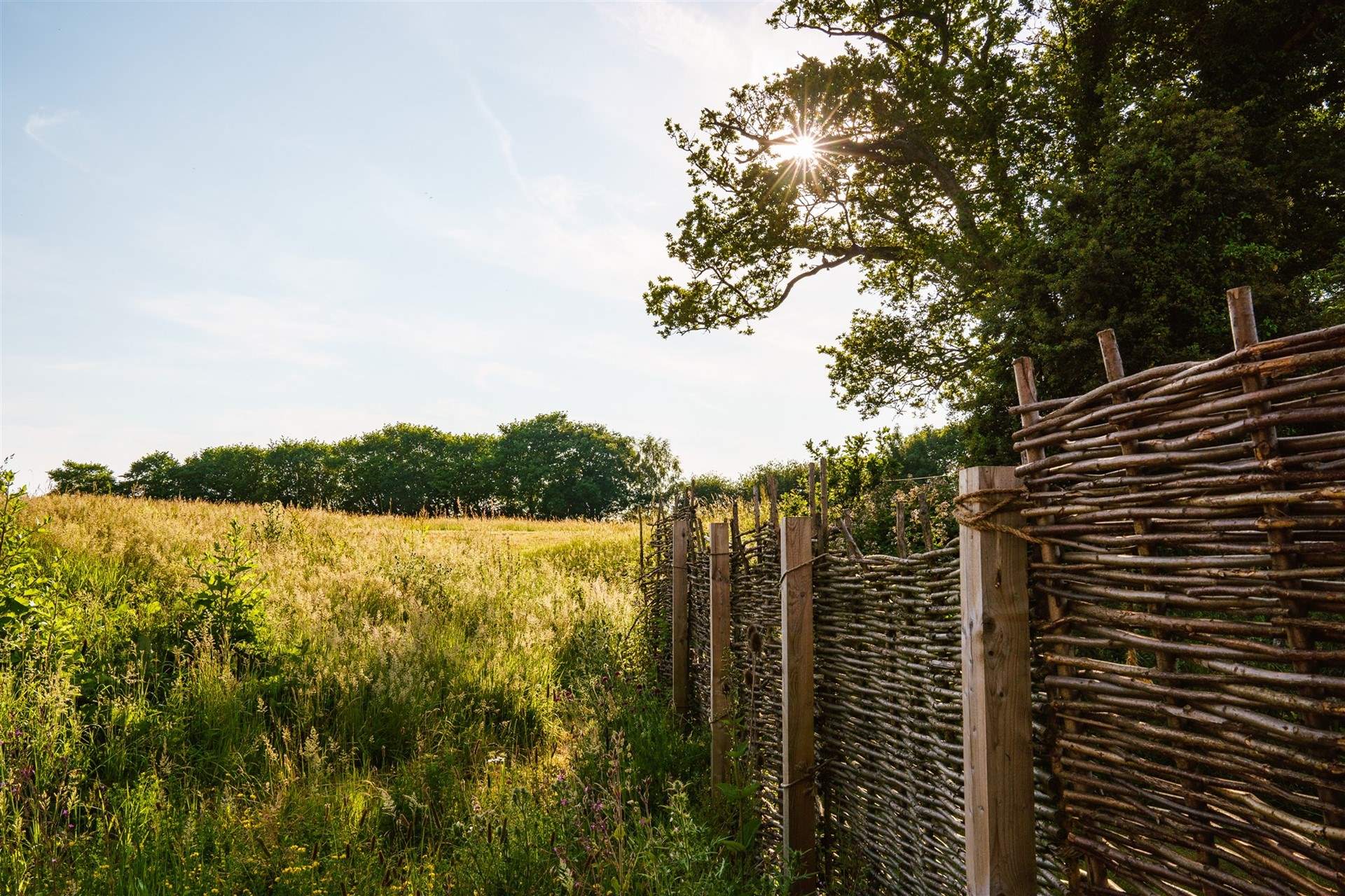 Secure fencing protects your four-legged friend venturing into the neighbour's garden, so please don't fear.