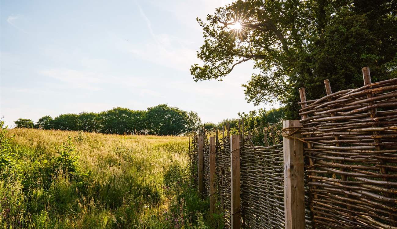 Secure fencing protects your four-legged friend venturing into the neighbour's garden, so please don't fear.