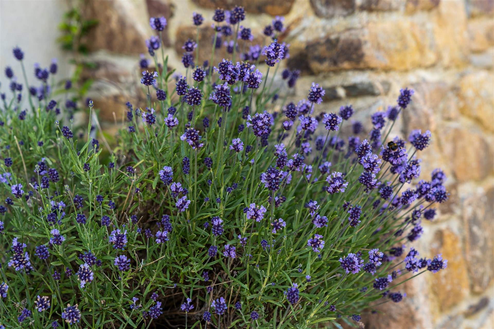 Super colourful surroundings.