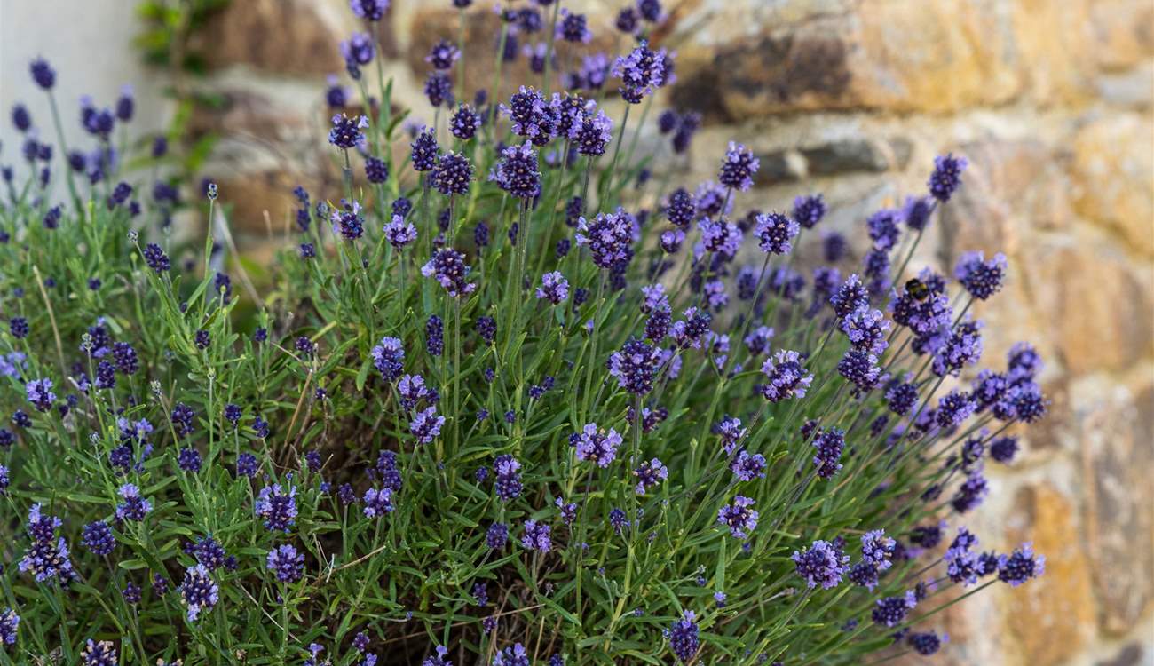 Super colourful surroundings.