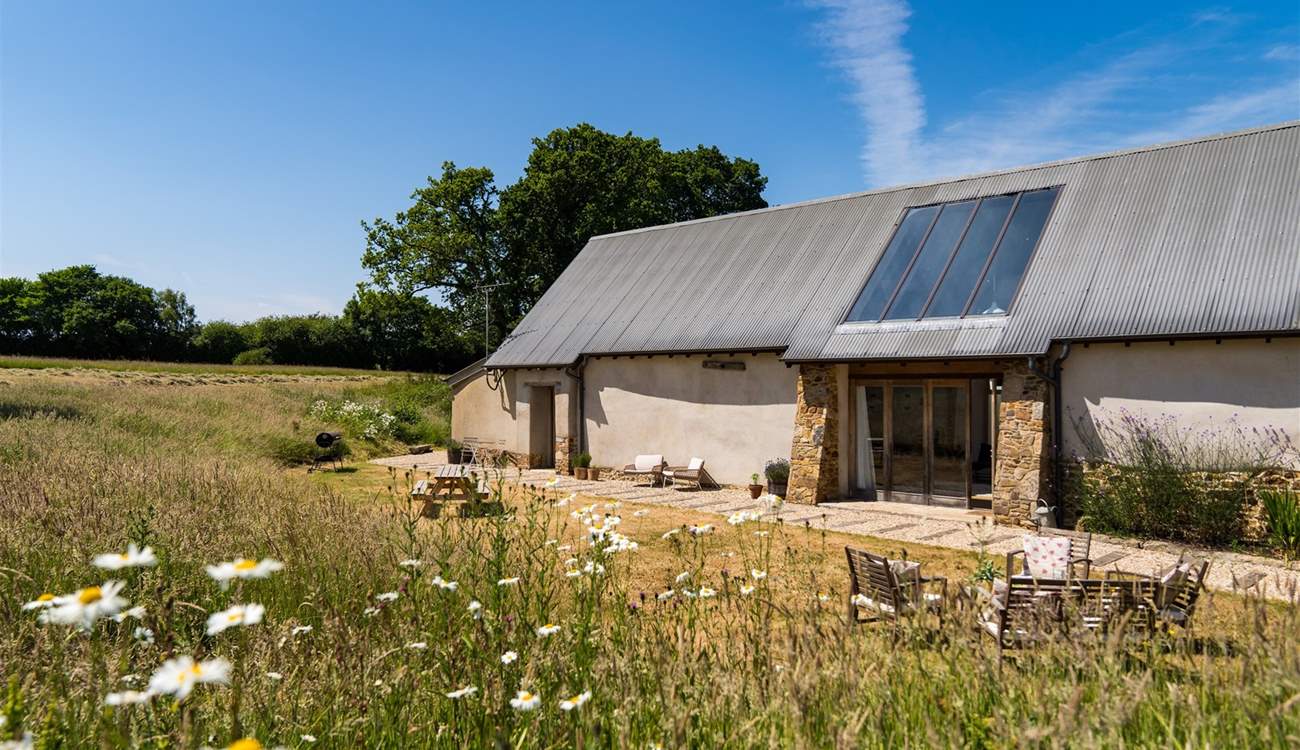 Welcome to The Swallows.