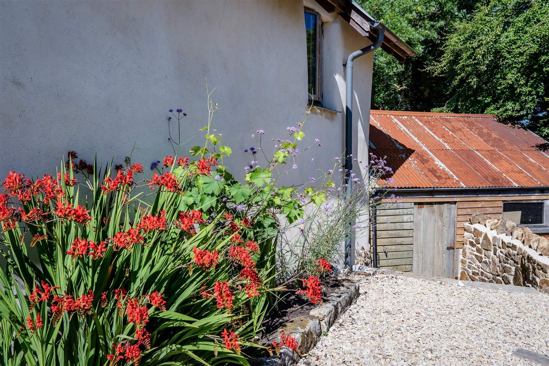 Bursts of colour throughout the grounds.