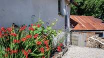 Bursts of colour throughout the grounds.
