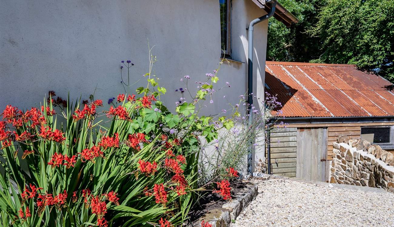 Bursts of colour throughout the grounds.