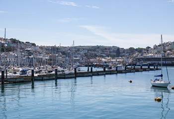 Bustling Brixham marina, looking over into the harbour bowl.