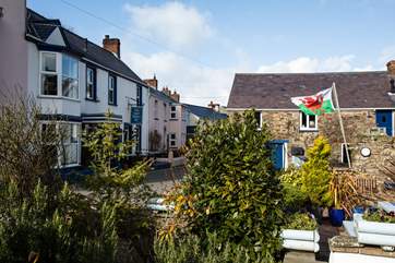 Try some fresh fish and local seafood in the St Brides Inn in Little Haven.