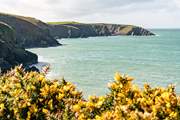 Discover craggy coves and stretches of golden sands along the coastal path nearby.