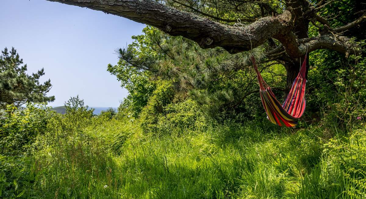 Head up to the top of the garden and hide with a book!