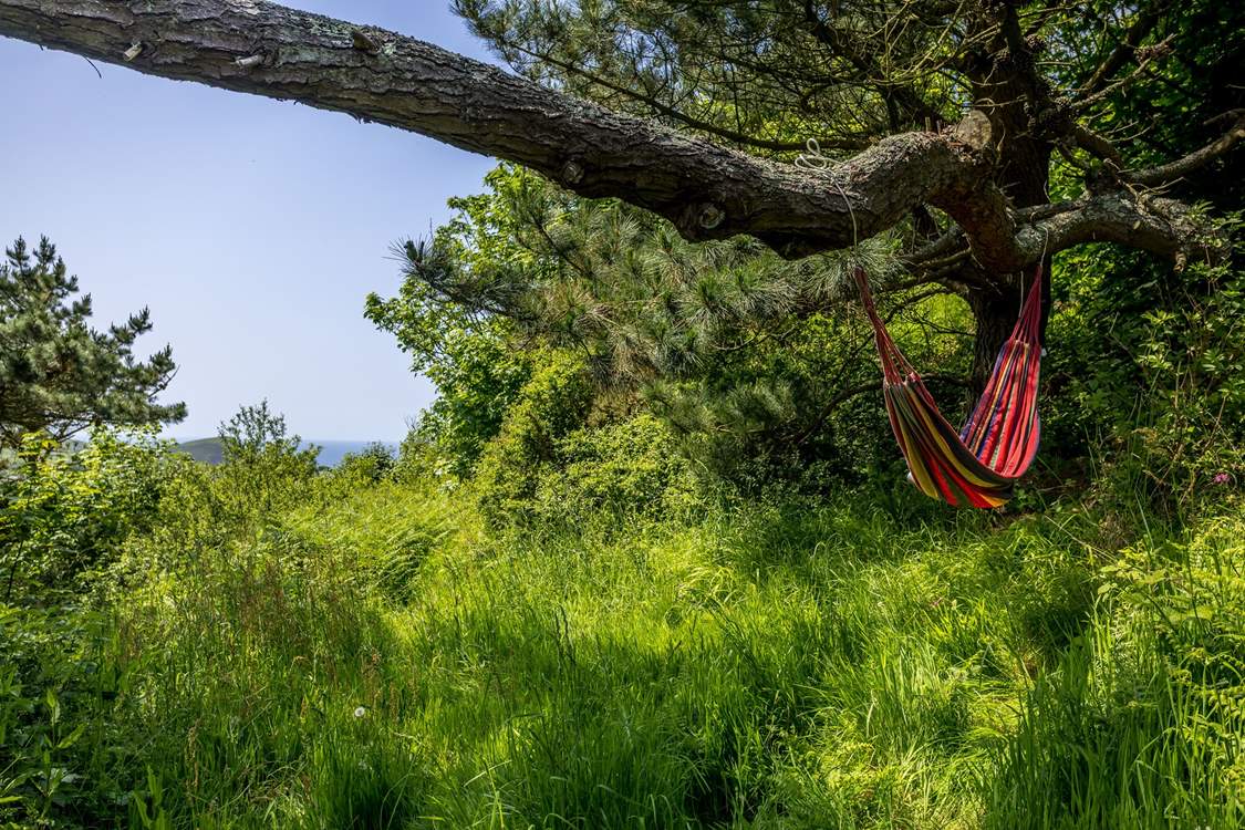 Head up to the top of the garden and hide with a book!