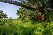 Head up to the top of the garden and hide with a book!