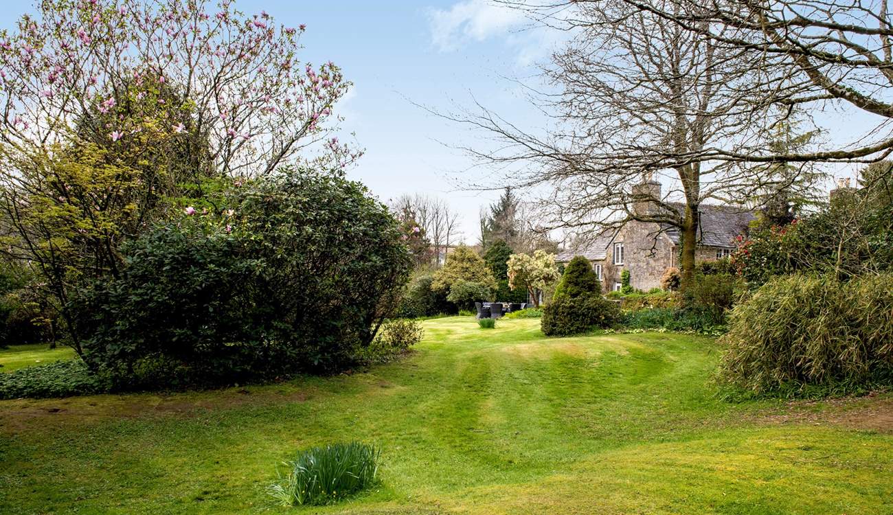 Anyone for hide and seek?