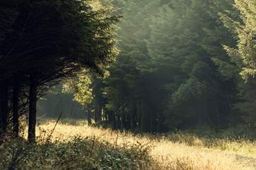 Gorgeous Hartland, there's so much to discover here.