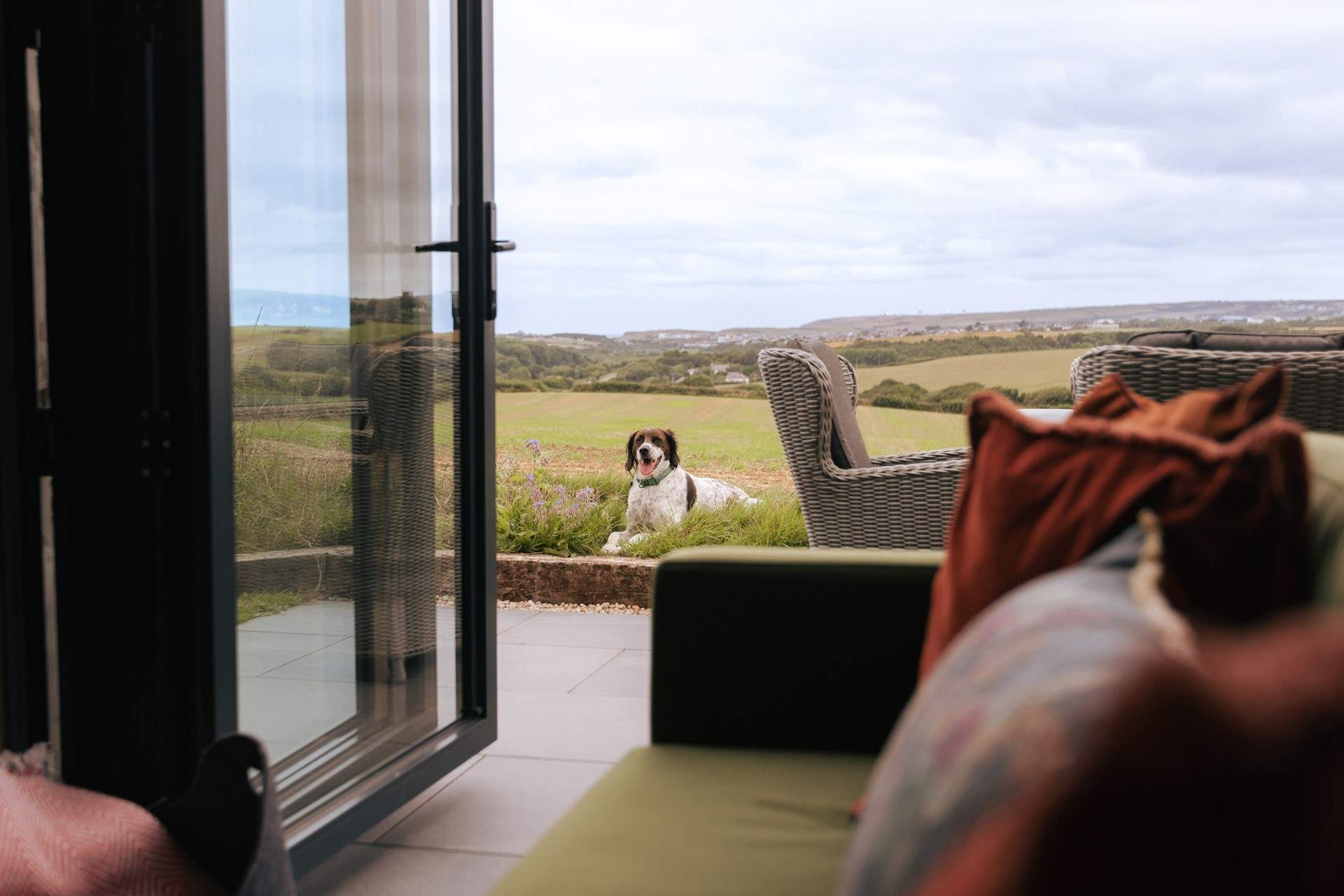 A perfect escape for your pup. 