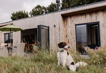And it's dog-friendly too. 
