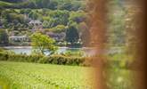 The glistening view over Mylor Creek is truly spellbinding.  - Thumbnail Image