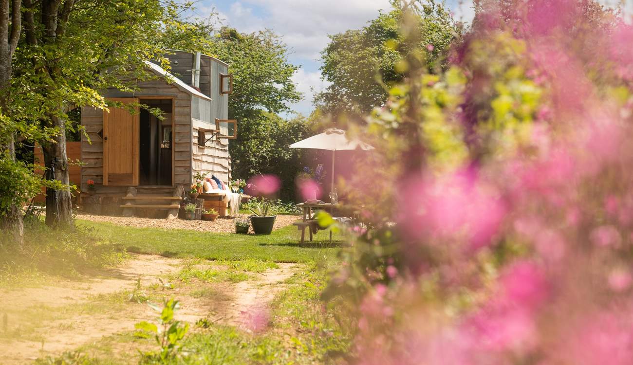 Tucked away in nature's paradise. 